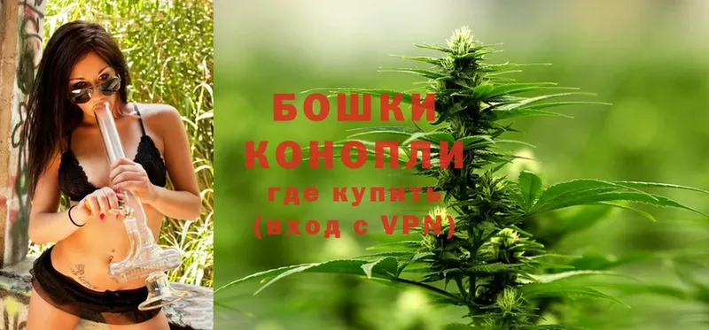 Шишки марихуана THC 21%  сколько стоит  Шуя 